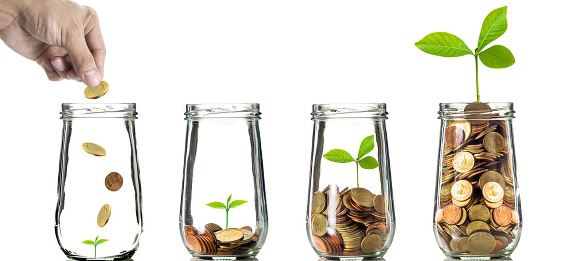 Smart Buyer Guide: Budget Tipis vs Investasi Jangka Panjang